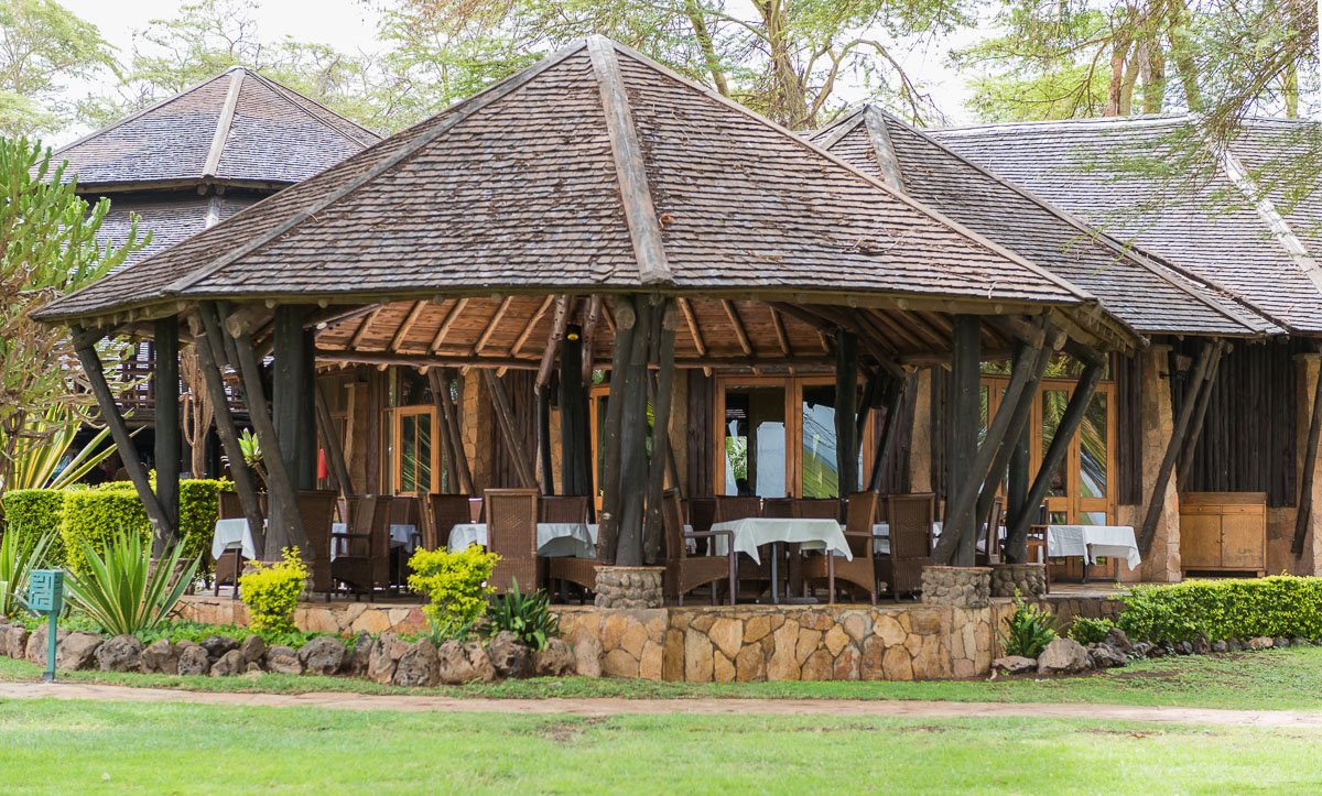  gorilla lodge